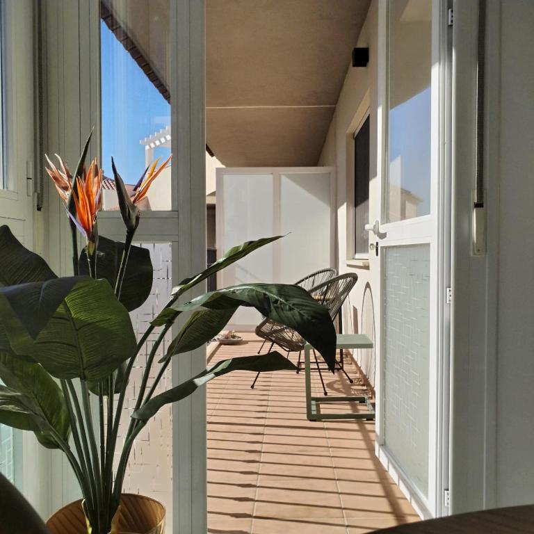 Zonnig balkon
