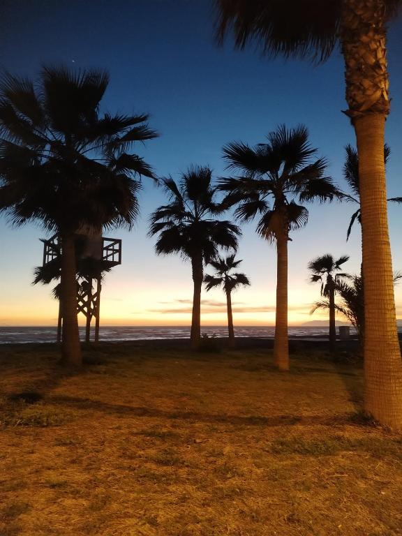 Zonsondergang tussen de palmen